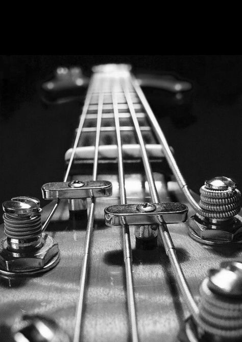 Elektro gitar Bass Guitar Art, Guitar Illustration, Best Guitar Players, Guitar Photos, Guitar Photography, Bass Music, Black And White Photograph, Easy Guitar, Guitar Tips