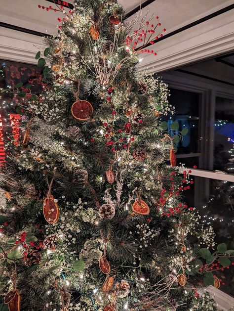 A lightly flocked Christmas tree decorated with dried citrus such as lemons, limes, oranges, and grapefruit, holly berries, white babys-breath flowers, pinecones, and white lights. This Christmas tree has branches, holly berries and eucalyptus poking out from the tree as well. Christmas Tree Ideas Cranberries, Winter Berry Christmas Tree, Christmas Tree Baby's Breath, Christmas Tree With Pinecones And Berries, Dry Flowers Christmas Tree, Canadian Christmas Tree, Christmas Trees With Baby’s Breath, Christmas Tree Eucalyptus, Christmas Tree Boho Decoration