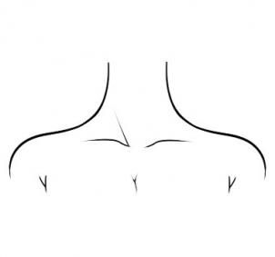 How to draw Neck / Collar Bone Draw Neck, How To Draw Necks, Neck Outline, Collar Bone, Beauty Illustration, Outline Art, Mini Drawings, Pencil Art Drawings, Body Drawing