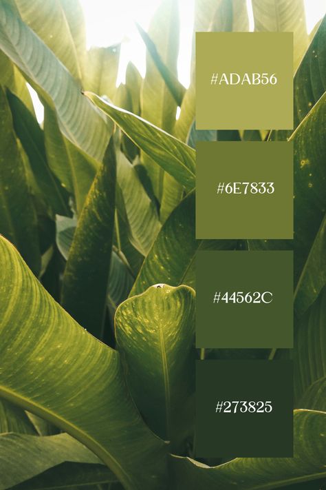 This Shades of Green Color Palette  captures the lush, vibrant shades of green in large tropical leaves, showcasing the diversity of greens from deep to light tones. Light Green Color Pallete, Color Palette Greens, Shades Of Green Color Palette, Tropical Color Palette, Tropical Palette, Color Scheme Generator, Green Color Combination, Hues Of Green, Green Color Combinations