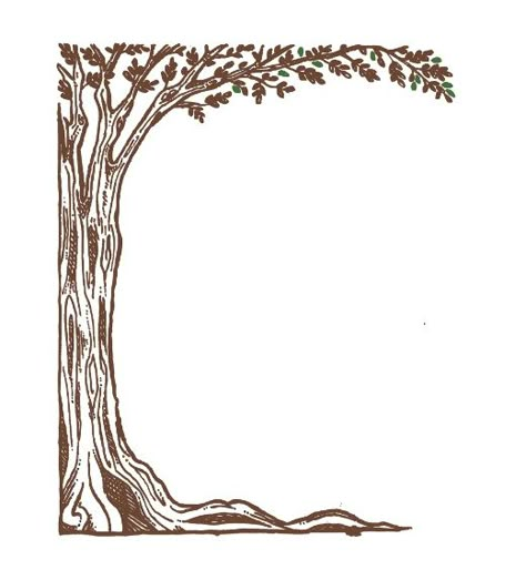 Custom Label Design: Olive Tree Tree Border Design Drawing, Tree Frame Design, Olive Tree Border, Tree Border Drawing, Olive Tree Design, Tree Border Design, Olive Tree Drawing, Family Tree Drawing, Tree Border