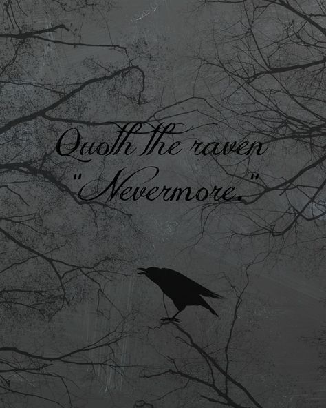 The Enchantment Of Ravens, Nevermore Morrigan Crow, Raven Spirit Animal, Quoth The Raven Nevermore, The Raven Nevermore, Raven Gothic Art, Raven Nevermore, Evil Queens, Quoth The Raven