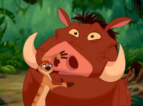 I got : Timon and Pumbaa! Which Disney Duo Are You and Your Best Friend? #Sydney_Smith Movie Duos, Disney Amor, Disney Duos, Lion King Disney, Disney Best Friends, Lion King 1, Best Friend Quiz, Me And Bro, Friend Quiz