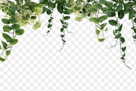 Cover Photo Aesthetic, Aesthetic Dashboard, Notion Inspiration, Aesthetic Notion Template, Leaf Png, Image Border, Notion Cover, Png Border, Plant Png