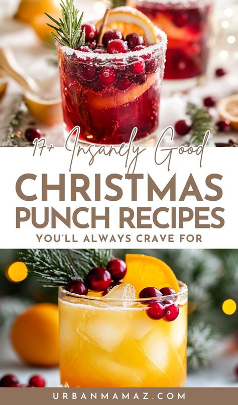 Looking for easy Christmas punch recipes guaranteed to be a crowd pleaser? Check out this ultimate list of 17+ insanely good Christmas punch recipes you'll always crave for. Easy Christmas Party Food For A Crowd, Christmas Punches With Alcohol, Christmas Meal Ideas For A Crowd, Christmas Sangria Recipes For A Crowd, Winter Punch Alcoholic, Spiked Christmas Punch, Christmas Brunch Punch, Christmas Drinks For A Crowd, Champagne Punch For A Crowd