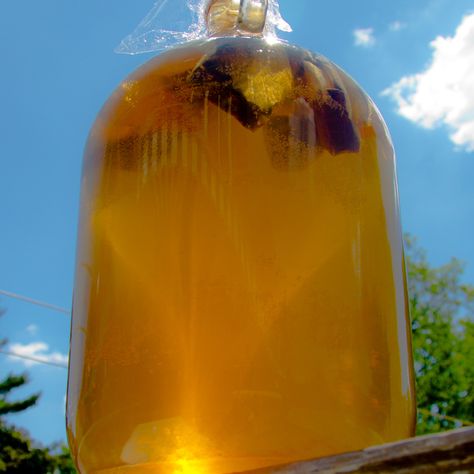 Sun Tea Recipe, Sun Tea Recipes, High Cholesterol Diet, Hey Bartender, Iced Green Tea, Green Tea Recipes, Sun Tea, How To Make Greens, Cholesterol Diet