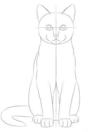 Cat Sketch Aesthetic, Cat Sketch Tutorial, Cat Sketch Realistic, Cat Face Sketch, Cat Sketching, Sketch Book Ideas Aesthetic, Face Chat, Sketch Realistic, Cat Face Drawing