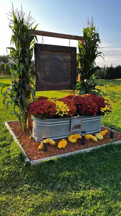 Outside Business Decor, Driveway Circle Landscaping, Front Yard Patio Ideas Ranch House, Memorial Garden Ideas Landscape Design, Simple Curb Appeal Ideas Front Yards, Farmhouse Style Landscaping, Western Landscaping Ideas, Farm Landscaping Ideas, Mailbox Garden Ideas