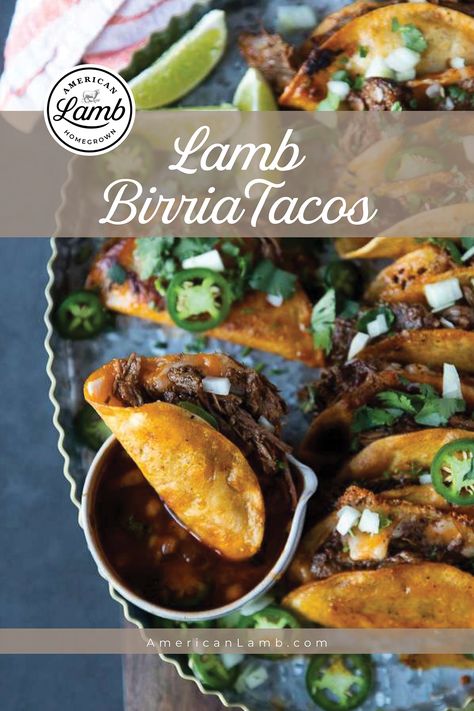 Loaded with juicy, chile-spiced succulent lamb shanks, this easy lamb birria taco recipe is a real keeper ❤️ Lamb Birria Recipe, Pulled Lamb Tacos, Lamb Birria Tacos, Mexican Lamb Recipes, Lamb Birria, Australian Lamb Recipes, Lamb Tacos Recipes, Birria Taco Recipe, Barrio Tacos