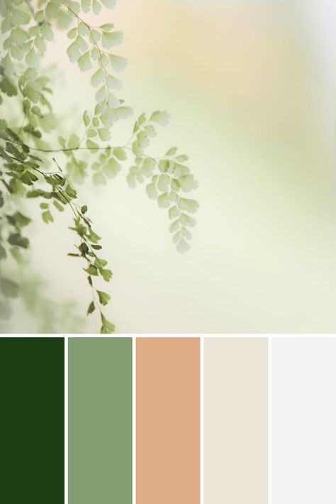 These Spring Color Palettes are a great place to start for some design inspirtation! They'll freshen up any space for Spring. Colors Of Nature Colour Palettes, Spring Colors Aesthetic, Biophilic Colour Palette, Colour Palette 3 Colours, Spring Color Palette Home Decor, Biophilic Design Color Palette, Spring Aesthetic Color Palette, Biophilic Color Palette, Natural Color Palettes