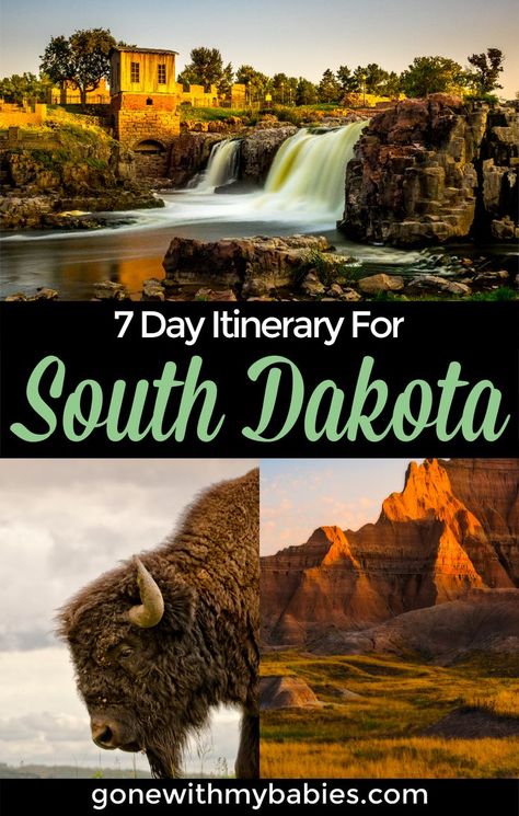 Road Trip To Mt Rushmore, Road Trip South Dakota, Badlands Road Trip, South Dakota Must See, Must See South Dakota, What To Do In South Dakota, South Dakota Road Trip With Kids, My Rushmore Road Trip, South Dakota Road Trip Itinerary