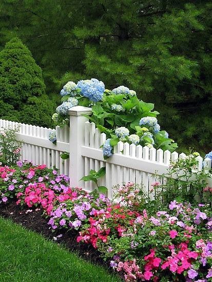 pinterest white picket fence with flowers | Flowers by picket fence | Flowers Fence With Flowers, Garden Wallpaper, Meteor Garden 2018, Longwood Gardens, White Picket Fence, Garden Shrubs, Fence Landscaping, Landscape Designs, Chelsea Flower Show