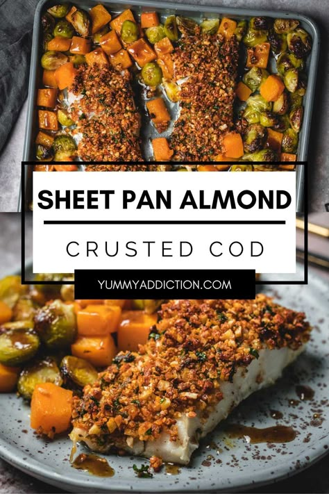 Easy cleanup and low-stress cooking are just a few of the many benefits of this almond crusted cod sheet pan dinner. Caramelized winter vegetables, tender baked cod with a crunchy nut crust, and a delicious drizzle of sweet and tangy balsamic sauce make a satisfying dinner, all on one baking sheet. #sheetpan #cod #dinner #fish #brusselssprouts #butternutsquash Cod Dinner, Brussels Sprouts And Butternut Squash, Balsamic Vegetables, Easy Fish Dinners, Crusted Cod, Balsamic Sauce, Dinner Fish, White Fish Recipes, Sheet Pan Dinners Recipes