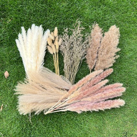 PRICES MAY VARY. 【Package of 100 Pieces】: The package contains 6 kinds of 100pcs different natural dried pampas grass flowers, with a total length of 17 inches. Can be cut to length to decorate your pampas vase. 【Warm Tips】 Take it out of the carton for the first time, please shake it gently. After a long process of packing and traveling, please allow it to come off, so it seems uninspired. Don't worry, just follow the hint card, give it a little time and it will recover. 【Fluffy and Soft Down】P Pampas Grass Bouquet, Pampas Grass Decor, Grass Decor, Grass Flower, Grass Wedding, Boho Bridal Shower, Farmhouse Wedding, Wedding Boho, Hanging Flowers