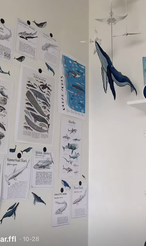 Marine Biology Themed Bedroom, Marine Biology Dorm Room, Marine Biologist Bedroom, Ocean Acubi Room, Marine Room Decor, Shark Room Aesthetic, Marine Biology Room, Ocean Themed Bedroom Aesthetic, Sea Animal Room