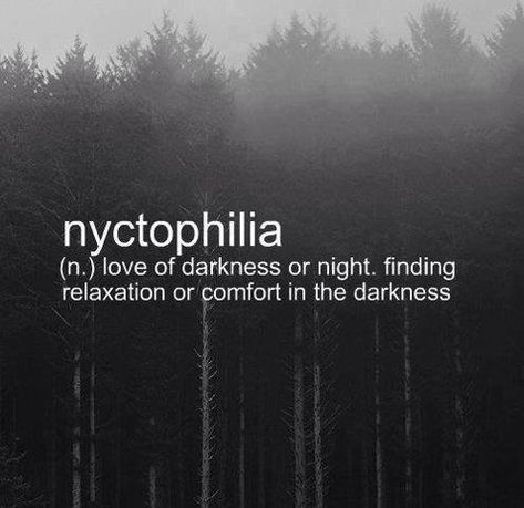 Love of darkness or night. Finding relaxation or comfort in the darkness. Phobia Words, Words Definitions, Unique Words Definitions, Uncommon Words, Weird Words, Unusual Words, Word Definitions, Rare Words, Bohol