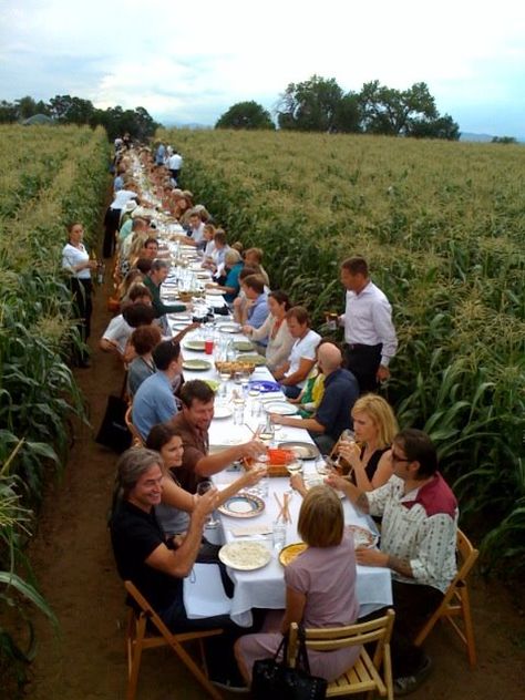 +Bonjour Bruxelles+: Outstanding in the Field Farm To Table Dinner, Farm Dinner, Farm To Fork, Table Dinner, Birthday Table, Farm Stay, Farm To Table, Long Table, Event Food