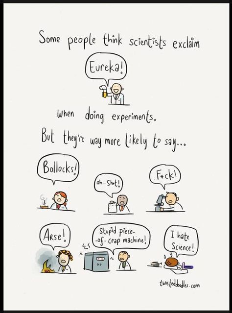 Some people think scientists exclaim “EUREKA,” but… #truth #funny (by @Maria) Academic Jokes, Lab Humor, Sixth Grade Science, Crazy Scientist, Lab Week, Science Stickers, Science Nerd, Lab Tech, Talk Nerdy To Me