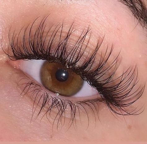 Big Eyelashes, Perfect Eyelashes, Pretty Lashes, Manifesting Vision Board, Dream Vision Board, Eyelash Serum, Lash Serum, Natural Eyelashes, Eyelash Growth