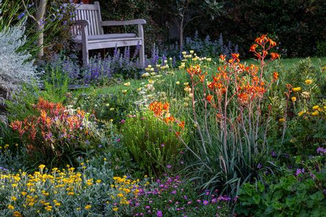 Native Cottage Garden, Australian Cottage, Native Garden Design, Native Garden Ideas, Native Australian Garden, Garden Tools Design, Australian Garden Design, Cabin Garden, Memorial Gardens