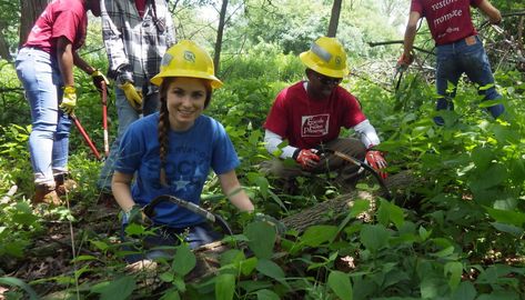 Environmental Science Major, Future Aspirations, Conservation Corps, Green Industry, Youth Work, Wildlife Biologist, Everything All At Once, Peace Corps, Dream Jobs