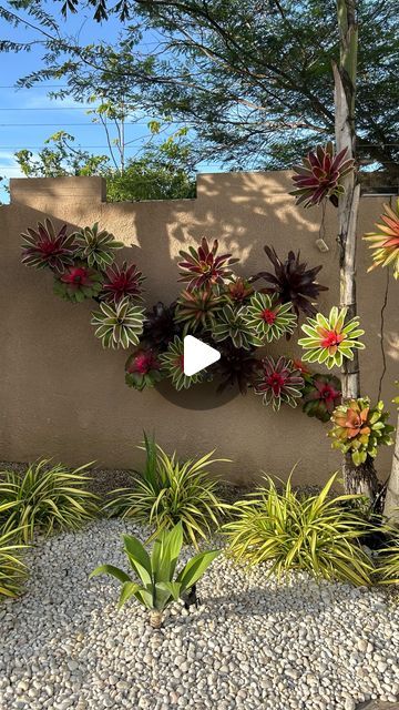 AMAPOLA GARDEN  | decoracion - bodas - eventos | on Instagram: "Este fin de semana estuvimos haciendo un hermoso jardín en una pared que quisimos darle vida y que mejor que con nuestras magia   Que te pareció ?¿" Garden Wall Muriels, Outdoor Wall Murals Backyards Flower, Ideas Para Decorar Jardines, Cactus Garden Landscaping, Creative Home, Garden Inspiration, Cactus, Home And Living, Around The Worlds