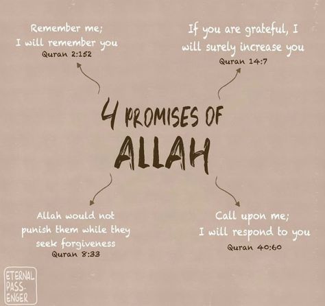 Islam Reminder, Life Knowledge, Quote Islam, Islam Quotes About Life, Quranic Verses, Short Islamic Quotes, Islam Beliefs, Pray Quotes, Ayat Al-quran