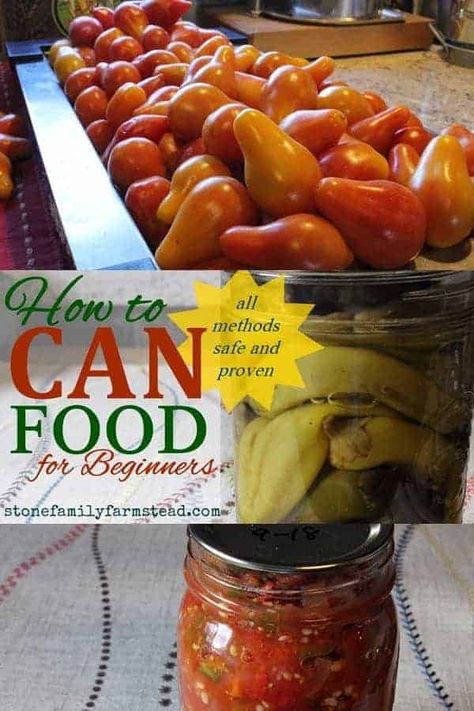 Ready to learn how to can food but don't know where to start? I got you! Click on the post for all you need to begin home canning! #homecanning #waterbathmethod #pressurecanningmethod #whattodowithyourharvest #makeyourown Canned Peppers, Banana Peel Fertilizer, Can Salsa, High Acid Foods, Salsa Canning Recipes, Low Acid Recipes, Healty Dinner, Canning Vegetables, Can Food