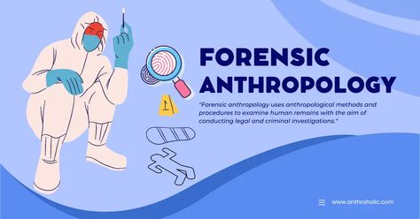 Forensic anthropology uses anthropological methods and procedures to examine human remains with the aim of conducting legal and criminal investigations. Forensic Anthropology Aesthetic, Forensic Anthropology, Human Remains, School Plan, Forensic Science, Forensic, Anthropology, Literature, Vision Board