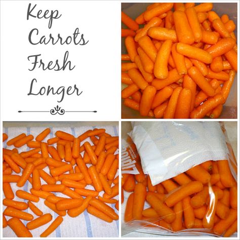 Keep Carrots Fresh Longer, How To Keep Carrots Fresh Longer, Keep Produce Fresh Longer, Carrot Storage, Store Veggies, Keep Produce Fresh, How To Store Carrots, Store Produce, Farming Lifestyle