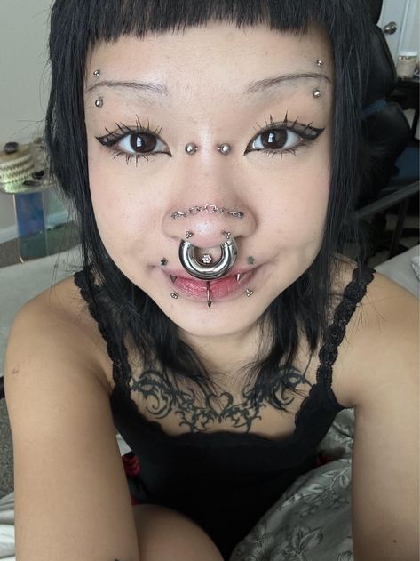 Eyebrow Piercings Both Sides, Gold Septum Aesthetic, Big Septum Ring, 8 Gauge Septum, Septril Piercing Nose, Stacked Septum Ring, Both Eyebrows Pierced, 0g Septum, Forehead Dermal