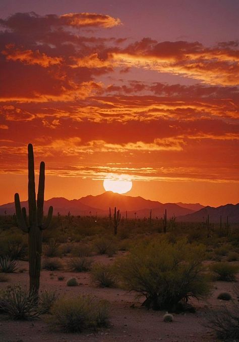 Arizona Sunrise, Desert Pictures, Beautiful Landscape Photography, Jesus And Mary Pictures, Desert Life, Desert Vibes, Arizona Desert, Trending Pins, Desert Art