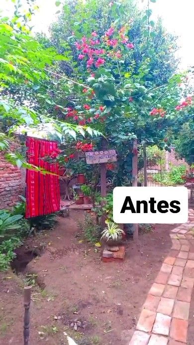 Monica Toledo | Muy temprano, aprovechando que en el fondo no llega el sol, nos pusimos a hacer el camino de ladrillos que faltaba. Usé algunos "ladrillos"… | Instagram Desert Garden Landscaping