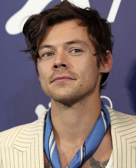 Harry Styles 2022, Don't Worry Darling, Harry's House, Venice Film Festival, Harry Styles Pictures, Edward Styles, Harry Edward Styles, Film Festival, The Boys