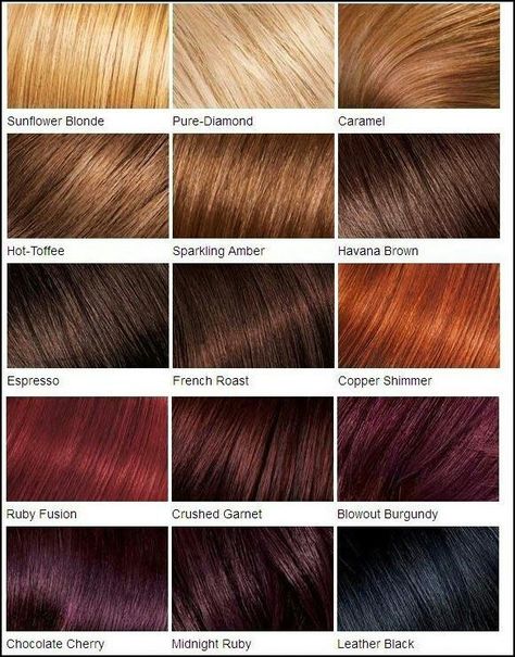 My fav is copper shimmer Red Hair Color Chart, Loreal Hair, Makeup Tip, Dark Auburn, Hair Color Chart, Dark Mahogany, Angled Bob, Beauty Remedies, Winter Hair