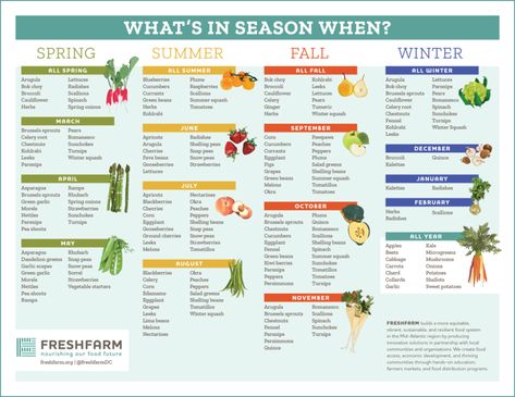 What's In Season – FRESHFARM Fruits In Season Chart, Fruit In Season Chart, Seasonal Vegetable Chart, Fruit Season Chart, In Season Fruits And Vegetables, Seasonal Food Chart, Autumn Food Photography, Veggies In Season, Produce In Season