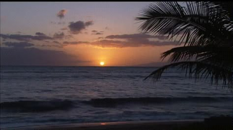 Sunrise Banner Gif, Irl Banners For Discord, Beach Sunset Aesthetic Gif, Sunset Banner Discord, Sea Banner Gif, Sunset Gif Banner, Summer Banner Gif, Cute Pfp Gifs, Ocean Aesthetic Gif