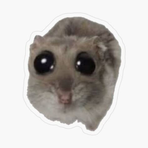 Get my art printed on awesome products. Support me at Redbubble #RBandME: https://www.redbubble.com/i/sticker/sad-hampter-hamster-meme-by-mgdlnsapien/158709482.O9UDB?asc=u Silly Stickers Printable, Funny Sticker Ideas, Pc Stickers, Hamster Sticker, Silly Stickers, Hamster Meme, Sticker Images, Stickers Random, Funny Laptop Stickers