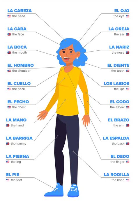 Body Parts in Spanish: 70+ Important Vocabulary Words Plus Helpful Grammar Tips! | FluentU Spanish Spanish Vocabulary List, Body Parts In Spanish, Spanish Help, Spanish Notes, Spanish Learning Activities, Useful Spanish Phrases, Spanish Words For Beginners, Basic Spanish Words, Spanish Classroom Activities