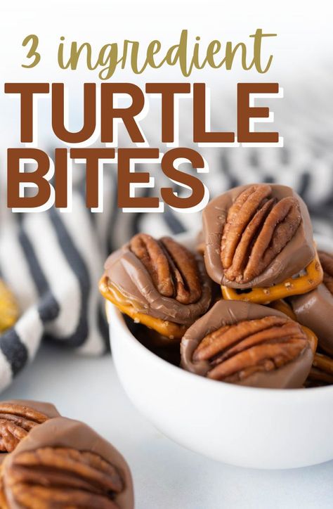 Pretzel Turtle Bites Sugar Cookie Turtle Bites, Christmas Turtles Candy, 3 Ingredient Turtle Candy, Rolo Turtle Pretzels, Christmas Pretzel Bites, Roll Pretzel Turtles, Turtle Tassies, Easy Turtles, Christmas Pretzel Treats