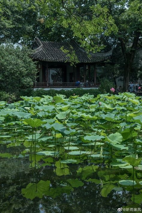 Chinese Countryside, Crimson Flower, Japanese Countryside, House Lake, Painting References, Chinese Aesthetic, Asian Architecture, Chinese Garden, Green Dragon