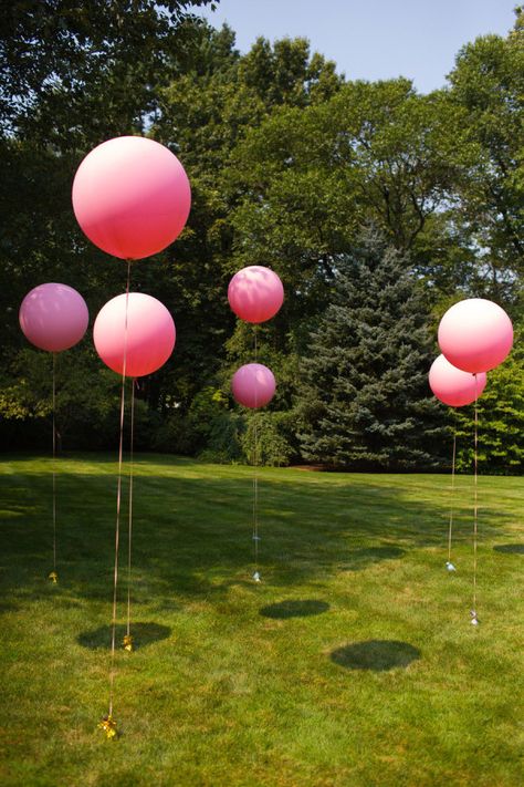 Yard Balloon Decorations, Balloon Decorations Outdoor, Park Birthday Party Decorations, Park Party Decorations, Terrarium Party, Lawn Party Decorations, Huge Balloons, Park Birthday, Yard Party