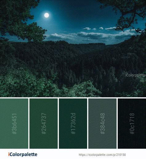 Color Palette ideas from 3368 Nature Images | iColorpalette Smokey Color Palette, Night Forest Color Palette, Oregon Color Palette, Enchanted Forest Color Palette, Color Palette Illustration, Color Palettes Green, Blue Green Color Palette, Forest Color Palette, Palette Illustration