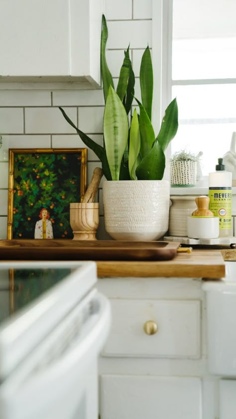 Lamp In The Kitchen – Yes or No? Real Plants On Top Of Kitchen Cabinets, Eclectic Kitchen Green, Plants In Kitchen Decor, Plants On Kitchen Counter, House Plants In Kitchen, Kitchen Counter Plants, Kitchen Sink Plants, Simple Kitchen Counter Decor, Lamps On Kitchen Countertops