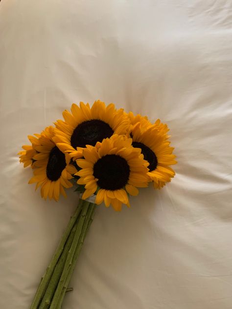 Sunflower Asthetic Picture, Sunflower Bouquet Aesthetic, Sunflower Pictures Photography, Flor Aesthetic, Sunflowers Aesthetic, Aesthetic Sunflower, Sunflower Aesthetic, Birthday Flowers Bouquet, Purple Flowers Wallpaper