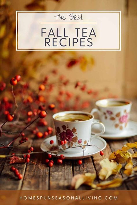 Brew yourself a cup of seasonal, hot tea with these tea blends featuring herbal, black, and green tea blends. More than 15 recipes from Autumn season ingredients. Witches Tea Recipes, Goddess Tea Recipe, Fall Teas Recipes, Fall Herbal Tea Recipes, Herbal Tea Recipes For Energy, Mabon Tea Recipe, Dried Tea Recipes, Diy Black Tea Blends, Simple Tea Recipes