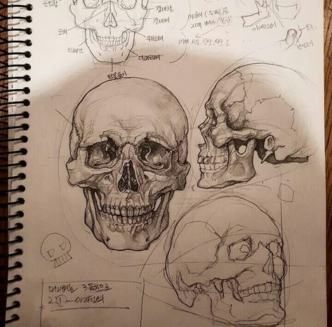 Anatomy Sketches, Arte Sketchbook, Gcse Art, A Level Art, Sketchbook Inspiration, Anatomy Art, Sketchbook Art Inspiration, Cool Art Drawings, Cool Stuff