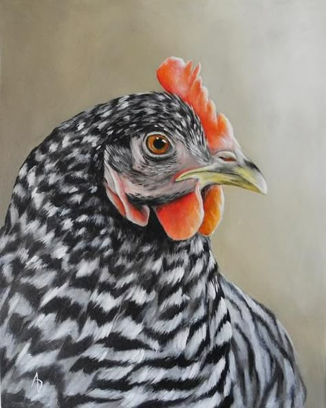 Color Pencil Drawing Tutorial, Black And White Chicken, Hen Art, Black And White Chickens, Pencil Drawing Tutorial, Chicken Embroidery, Chicken Aesthetic, Barred Rock, Farm Animal Painting