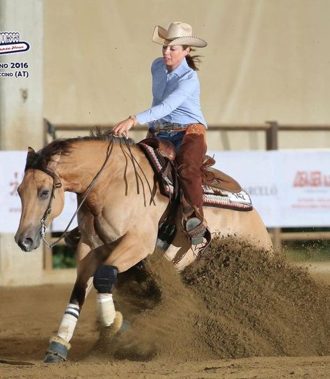 Reigning Horses, Western Horsemanship, Working Cow Horse, Aqha Horses, Ranch Riding, Horse Reining, Western Horses, Reining Horses, Barrel Horse