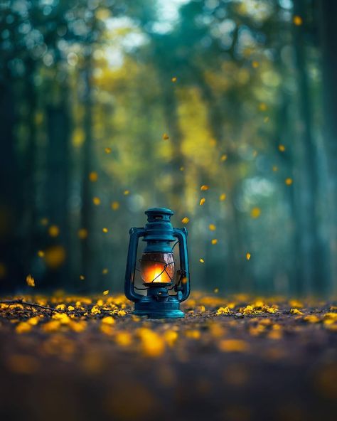 School Drawings, Old Lanterns, Magical Images, Miniature Photography, Still Life Images, Nature Wallpapers, Cute Love Wallpapers, Iphone Background Images, Light Background Images